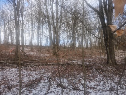 NY hunting land for sale