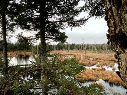 NY hunting camp for sale