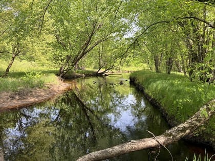 NY waterfront land for sale