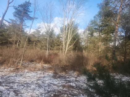 NY hunting land for sale