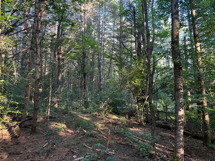 Adirondack land for sale