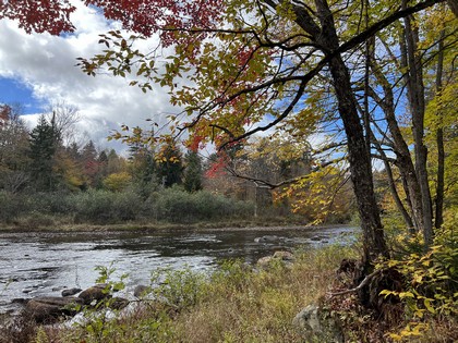 Adirondack waterfront land for sale NY