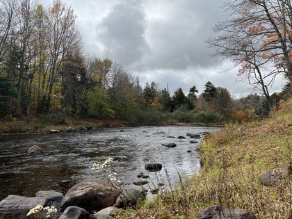 Adirondack waterfront land for sale NY