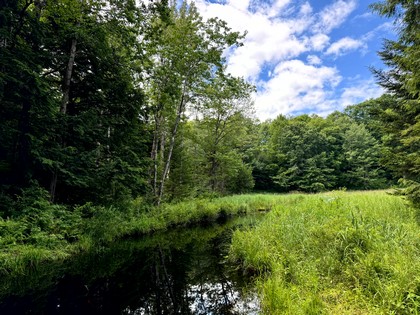 Tug Hill NY land for sale