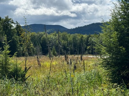 Adirondack land for sale