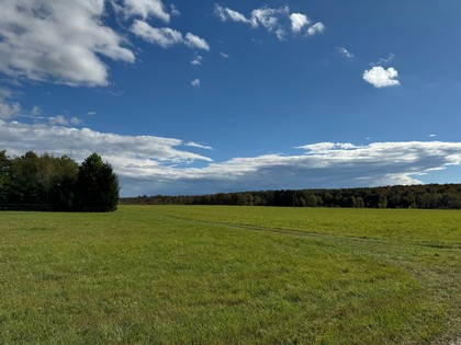 NY farmland for sale