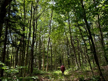 Tug Hill NY land for sale