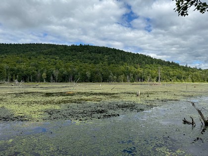 Adirondack land for sale