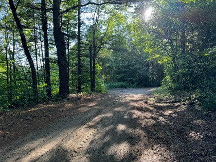 Adirondack land for sale