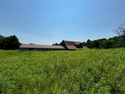 NY farm land for sale