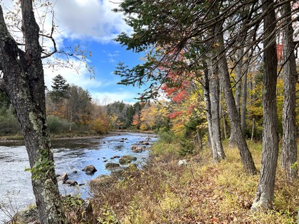 Adirondack waterfront land for sale NY