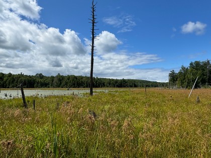 Adirondack land for sale