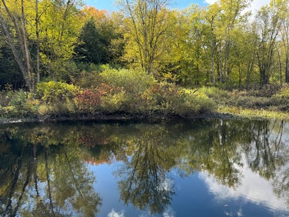 NY farmland for sale