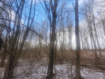 NY hunting land for sale