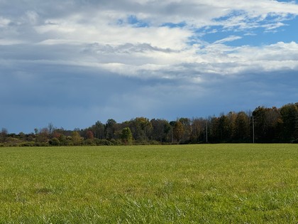 NY farmland for sale