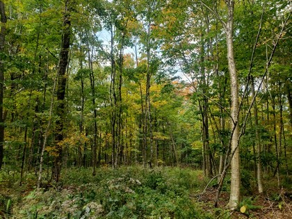 NY hunting land for sale