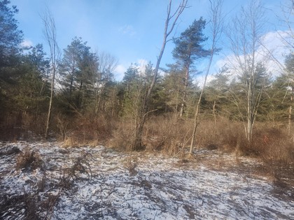 NY hunting land for sale