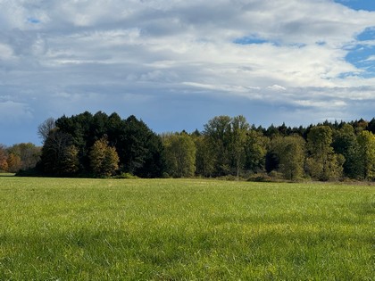 NY farmland for sale