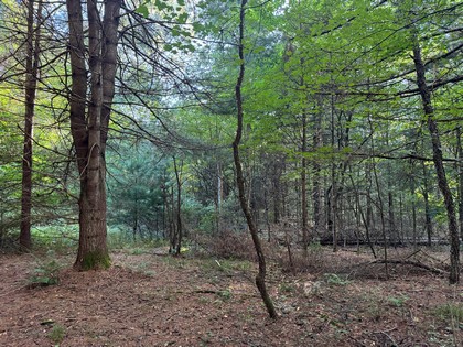 Adirondack land for sale