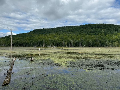 Adirondack land for sale