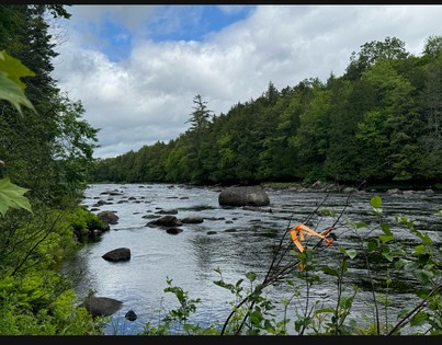 Adirondack waterfront land for sale NY