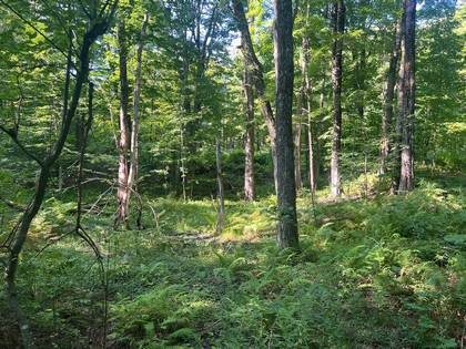 NY land for sale