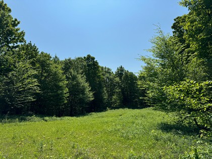 Tug Hill land for sale NY