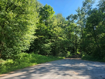 NY land and camp for sale