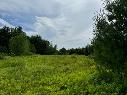 NY land for sale - Tug Hill