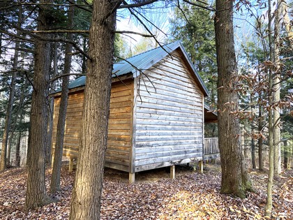 NY cabin for sale