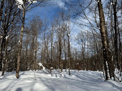 NY land for sale Tug Hill