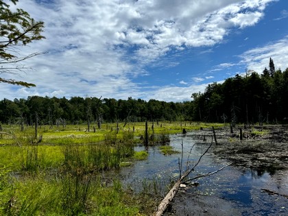 Tug Hill NY land for sale