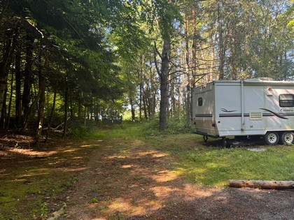 NY land and camps for sale