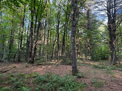 Adirondack land for sale