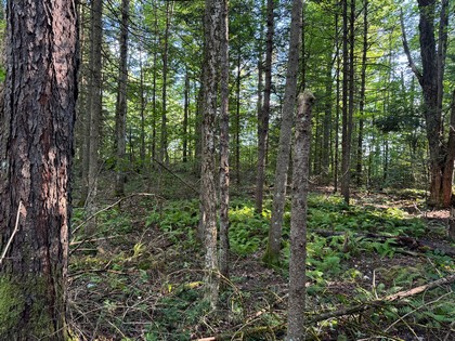 Adirondack land for sale