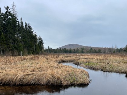 NY land for sale Tug Hill