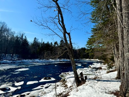 Adirondack waterfront land for sale NY