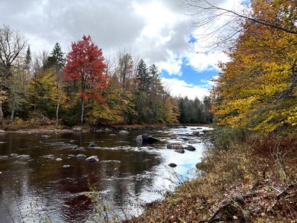 Adirondack waterfront land for sale NY