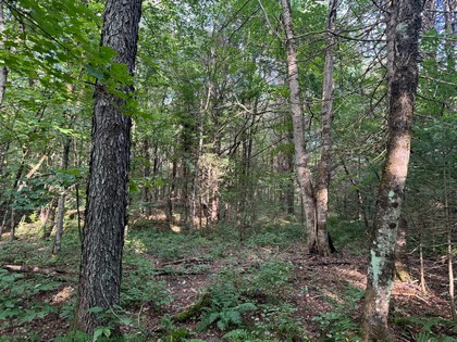 Adirondack land for sale