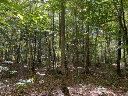 NY hunting land for sale