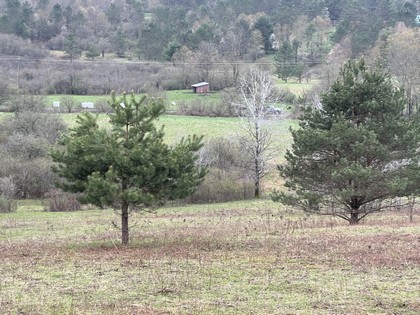 NY land for sale southern tier