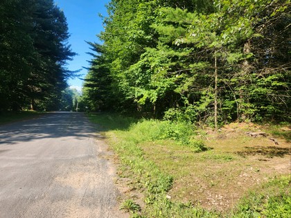 NY land for sale near Salmon River