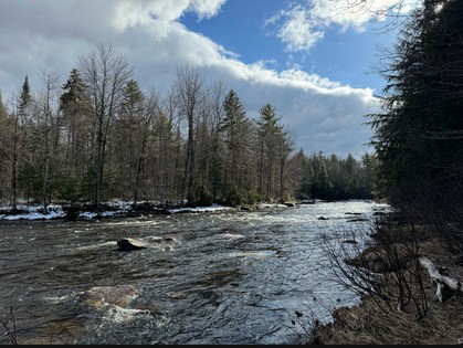 Adirondack waterfront land for sale NY