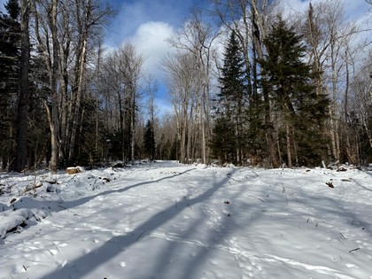 Adirondack waterfront land for sale NY