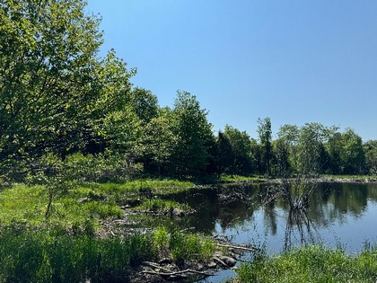 NY land for sale Tug Hill