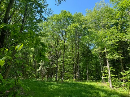 Tug Hill land for sale NY