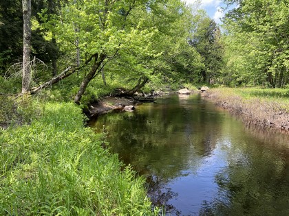 NY waterfront land for sale