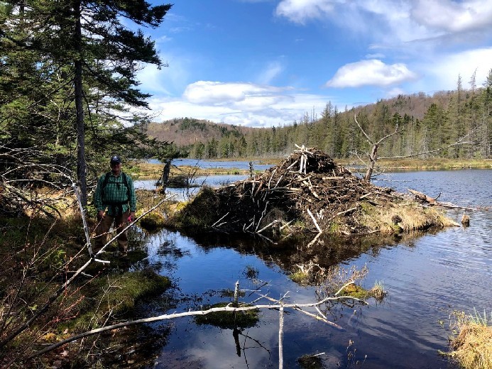 Fishing Land for Sale NY Fishing Pictures fish Pictures Man in front of beaver dam