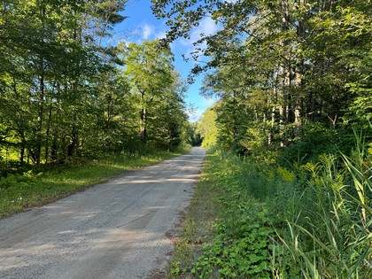 Adirondack land for sale