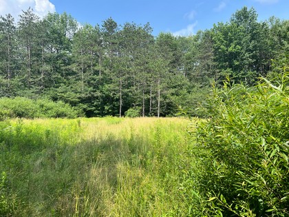 Southern tier NY land for sale